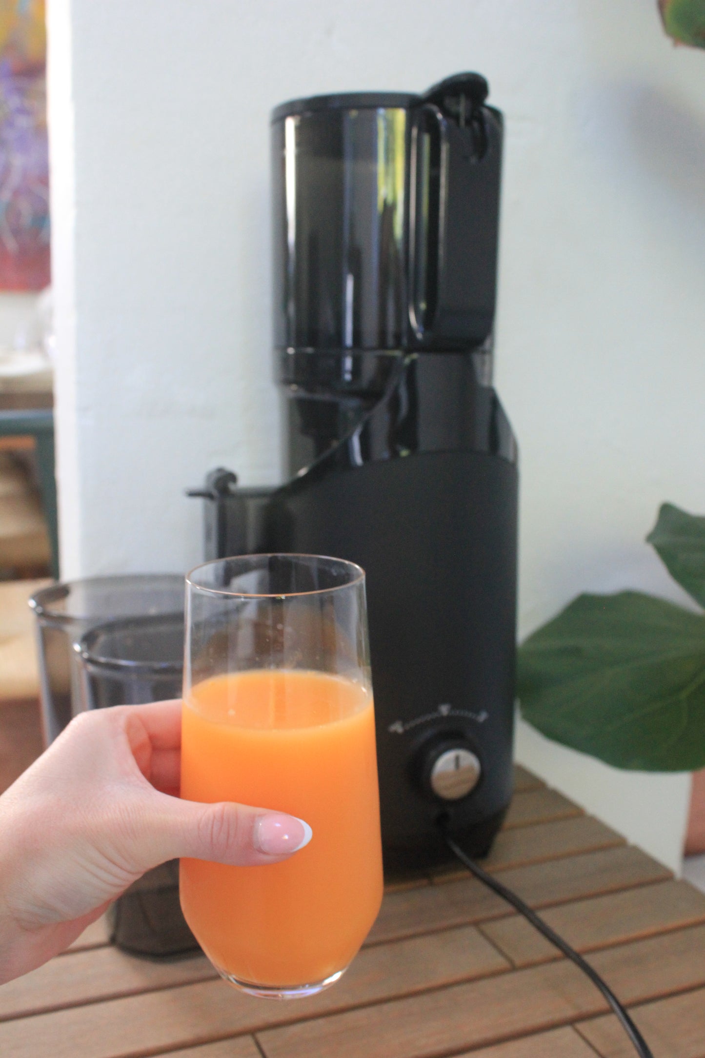 Fjord Slowjuicer PRO
