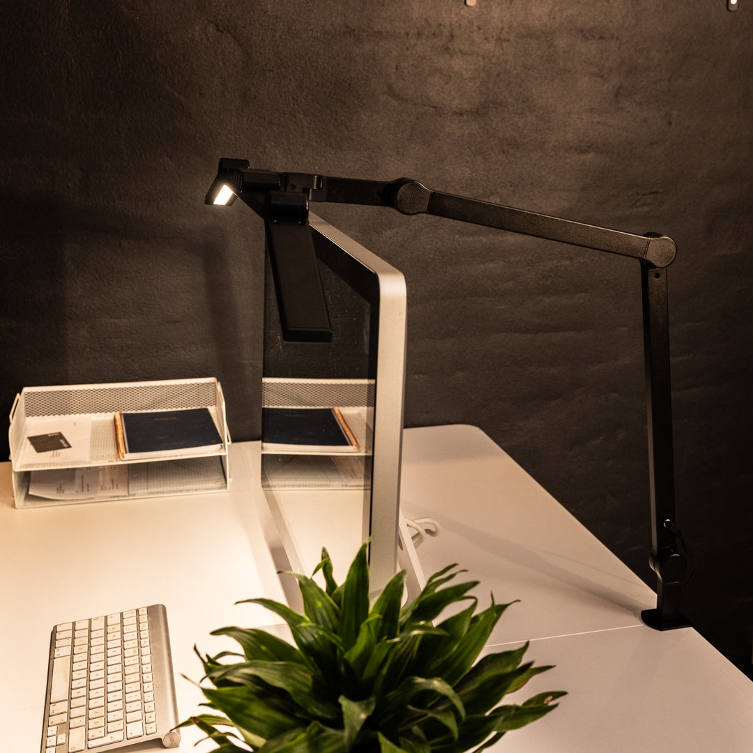 Fjord Desk Light
